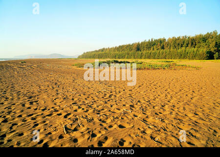 Velas Beach, Ratnagiri, Maharashtra, India Foto Stock