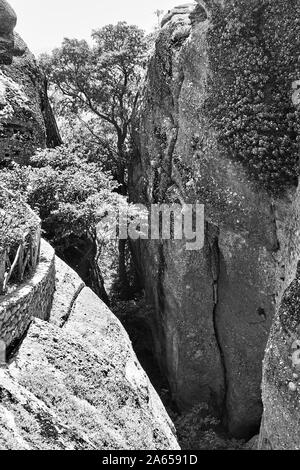 Alberi nella gola in rocce di Meteora, Grecia - bianco e nero paesaggio Foto Stock