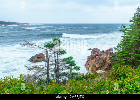 Paesaggio (vicino al ruscello nero Cove), a Cape Breton Highlands National Park, Nova Scotia, Canada Foto Stock