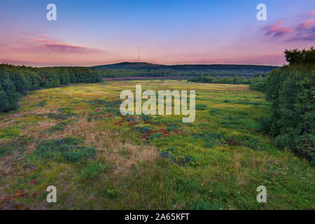 Rotes Moor in der Rhön Foto Stock