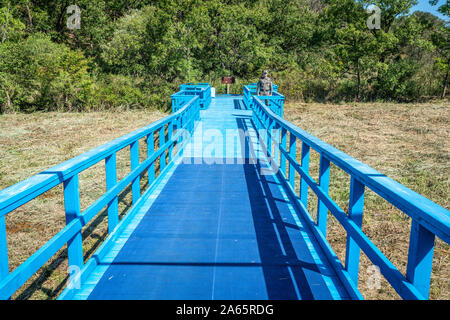 JSA Corea, 24 Settembre 2019 : Blue bridge dove Kim Jong Onu e Luna Jae-nel soddisfare nel 2017 al confine tra la Corea del Nord e Corea del Sud in corrispondenza del giunto Foto Stock