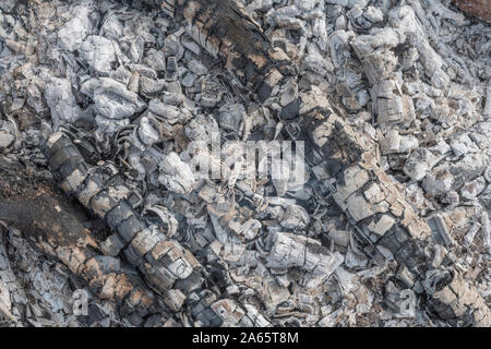 Ceneri e carbonizzati da legno bruciato legno fuoco di campo / survival fire / emergenza incendio. Fire texture, texture di sfondo ceneri da incendio, vendita. Foto Stock