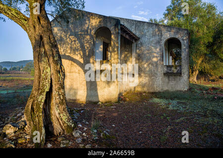 La mattina presto in una casa abbandonata su Corfu isola del Mar Ionio, Grecia Foto Stock