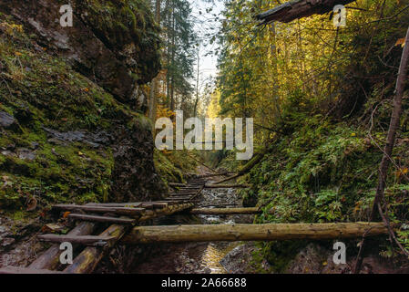 I ponti in legno e gli alberi caduti al di sopra del flusso in Sucha Bela sentiero escursionistico Foto Stock