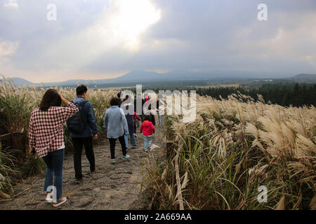 I turisti vanno lungo la strada che porta al cratere Sangumburi, Jeju Island, Corea del Sud Foto Stock