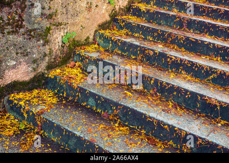 Foglie di autunno sulle vecchie scale in pietra Foto Stock