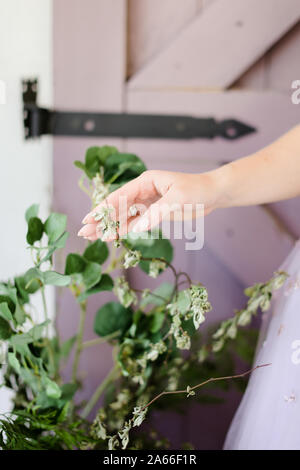 Femmina toccando a mano impianto. Foto Stock