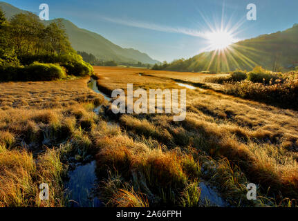 Bel mattino nella palude vicino alle montagne Foto Stock