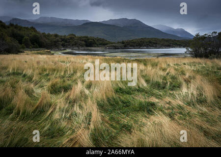 Vista panoramica del paesaggio intorno al Bahia Lapataia, Tierra del Fuego parco nazionale Tierra Del Fuego Provincia, Argentina Foto Stock
