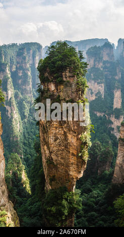 La pietra arenaria naturale formazioni in Zhangjiajie National Forest Park nella provincia del Hunan, Cina. Foto Stock