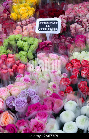 Fiori colorati in vendita presso la Columbia Road Flower Market, Columbia Road, Bethnal Green, East London, London, England, Regno Unito, Europa Foto Stock