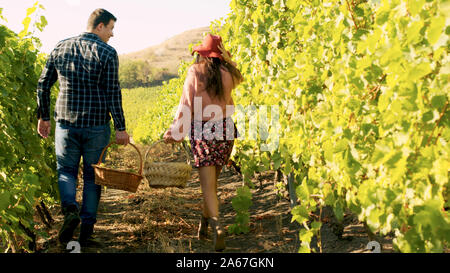 Vista posteriore della bella coppia caucasica passeggiate in vigna con due cesti di uva in mani. Foto Stock