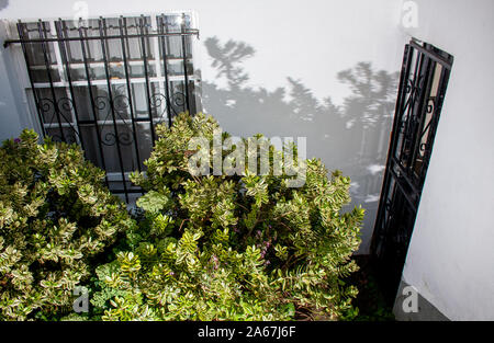 Griglie di protezione su un parzialmente nascosto porta e finestra Foto Stock