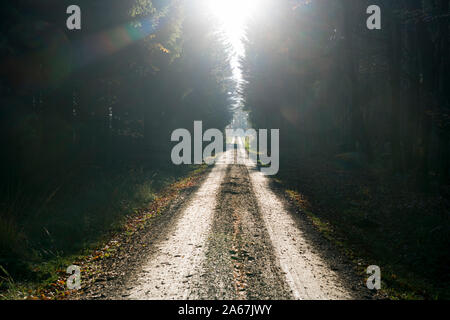 Sentiero forestale Oberweser, Weser Uplands, Weserbergland, Hesse, Germania Foto Stock