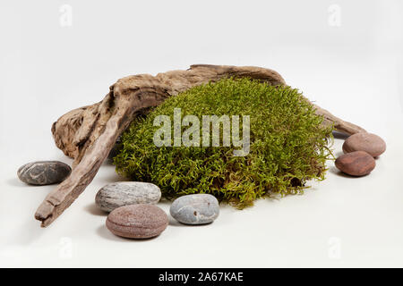 Composizione del pezzo di legno, MOSS e pietre isolate su uno sfondo bianco Foto Stock