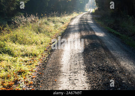 Sentiero forestale Oberweser, Weser Uplands, Weserbergland, Hesse, Germania Foto Stock