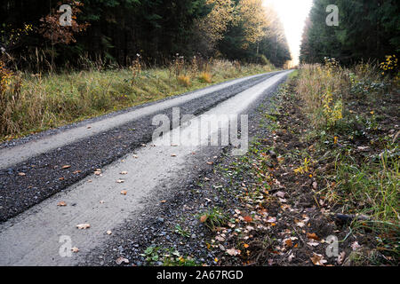 Sentiero forestale Oberweser, Weser Uplands, Weserbergland, Hesse, Germania Foto Stock