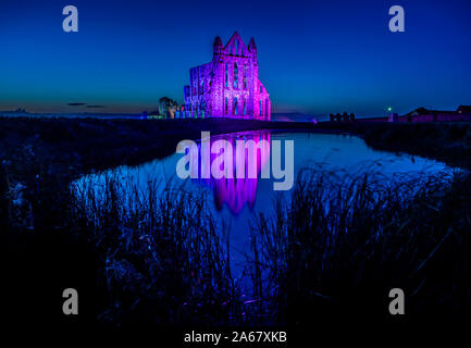 Le luci si accendano le rovine del Patrimonio inglese dell Abbazia di Whitby nel North Yorkshire durante l abbazia illuminata evento. Foto Stock