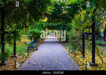 Autunno scena, uomo su un vicolo in giardini Cismigiu Park nel centro di Bucarest, Romania, 2019 Foto Stock