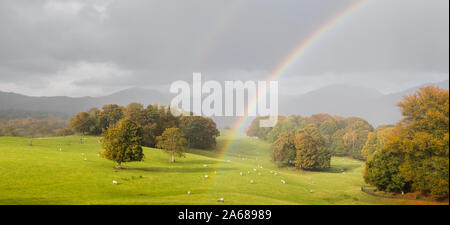 Un multi-image panorama di un doppio arcobaleno catturato al di sopra di un campo di pecore al pascolo accanto al lago di Windermere in Cumbria. Foto Stock