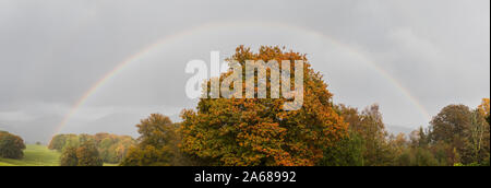 Due arcobaleni visto sopra un vecchio albero che cambia colore durante la caduta nel distretto del lago. Foto Stock