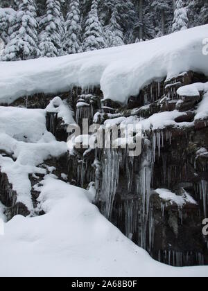 Lunghi ghiaccioli appendere su una piccola roccia dove acqua cola fuori da una molla. Coperta di neve alberi sono al di sopra di esso. Foto Stock