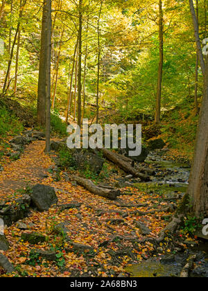 Tiffany Creek sentiero, Ancaster, Ontario Foto Stock