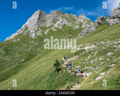 Gli escursionisti sul sentiero fino alla vetta del monte Aggenstein, Tannheimer Tal, Austria. Foto Stock