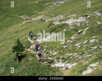 Gli escursionisti sul sentiero fino alla vetta del monte Aggenstein, Tannheimer Tal, Austria. Foto Stock