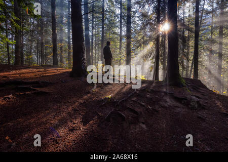 Avventura uomo godendo della splendida natura canadese vista della foresta durante una mattinata nebbiosa sunrise. Preso in Sloquet Hot Springs, situato a nord di Foto Stock