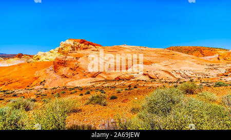 La colorata di rosso, giallo e bianco a bande formazioni rocciose lungo il fuoco Sentiero di onda in il Parco della Valle di Fire State in Nevada, STATI UNITI D'AMERICA Foto Stock