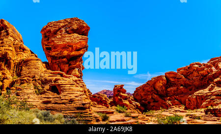 Il rosso irregolare Aztec formazione di arenaria vicino al Arch Rock campeggio sotto il cielo blu chiaro in il Parco della Valle di Fire State in Nevada, STATI UNITI D'AMERICA Foto Stock