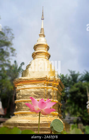 Wat Pra Singh bellissimo tempio in Chiang Mai, Thailandia, stock photo Foto Stock