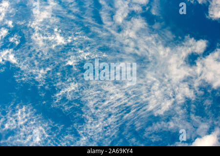 High white wispy cirrus nuvole con cirro-stratus nel blu cielo australiano chiamato mare tails significa bel tempo per ora con tempeste provenienti in seguito. Foto Stock