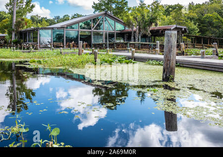 Clark's Fish Camp offre una esperienza ristorativa unica su Julington Creek a Jacksonville, FL con la privata più grande collezione di tassidermia negli Stati Uniti. Foto Stock