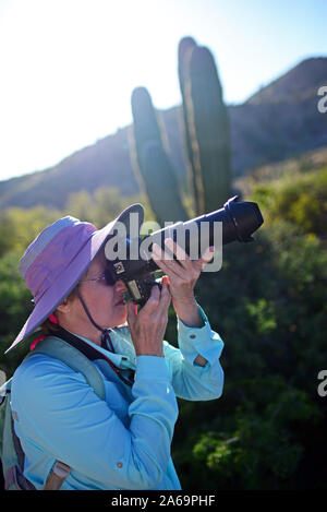 Fotografo femmina su Isla Santa Catalina, Baja California Sur, Messico Foto Stock
