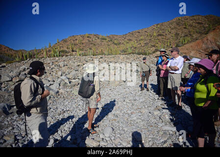 I visitatori su Isla Santa Catalina, Baja California Sur, Messico Foto Stock