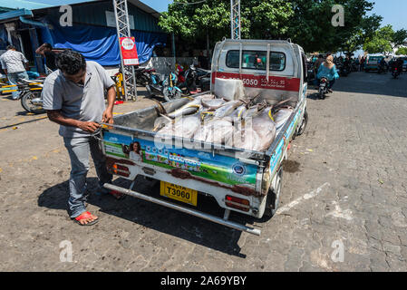 Maschio, Maldive - Novembre 21, 2017: Area del mercato del pesce fresco nel maschio, Maldive. Enorme appena catturati tonno nel carrello di prelievo. Foto Stock