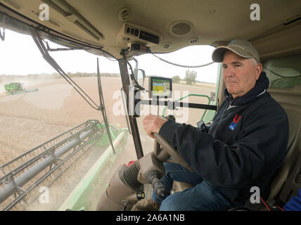 (191025) -- Pechino, 25 ottobre 2019 (Xinhua) -- Farm Bill proprietario Pellett opera una mietitrebbia in un campo di semi di soia della famiglia Pellett's farm in Atlantico, una piccola città nello Iowa, gli Stati Uniti, il 16 ottobre, 2019. (Xinhua/Wang Ying) Foto Stock