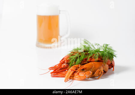 Piatto di frutti di mare, rosso bollito di gamberi di fiume contro uno sfondo bianco. Tipo di snack per la birra. Foto Stock