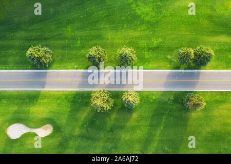 Vista aerea di strada attraverso il bellissimo campo verde al tramonto Foto Stock