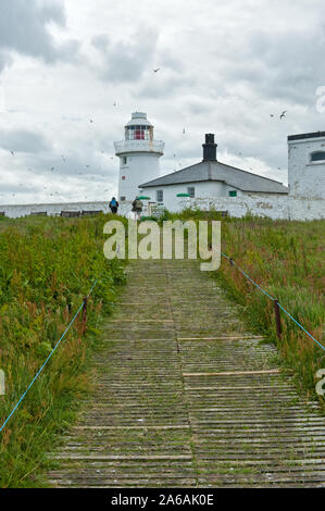 Farne Faro. Farne interna isola, Northumberland, Regno Unito Foto Stock