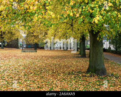 In autunno gli alberi nel parco del castello a Knaresborough North Yorkshire, Inghilterra Foto Stock