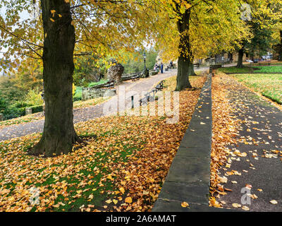 In autunno gli alberi nel parco del castello a Knaresborough North Yorkshire, Inghilterra Foto Stock