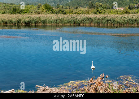 Lago di Vriton a Agras appena al di fuori della città di Edessa in Macedonia, Grecia Foto Stock