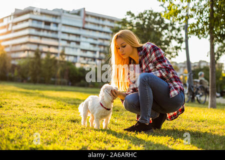 Donna scolding il suo cane Maltese mentre essi trascorrere del tempo nel parco. Foto Stock