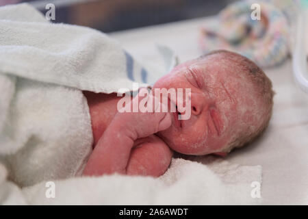 Una giovane ragazza del bambino è nato prematuro del peso di soli 4 kg, raffigurata qui a meno di 5 minuti Foto Stock