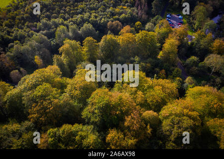 Minnowburn spiagge e il fiume Lagan Belfast Foto Stock