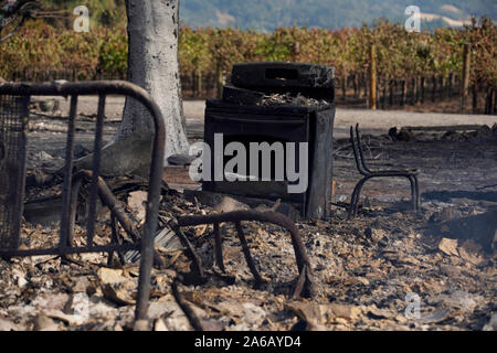 Los Angeles, Stati Uniti d'America. 24 ott 2019. Foto scattata su 24 Ottobre, 2019 mostra una zona bruciata in Sonoma County, Stati Uniti Stato della California. In rapida crescita selvaggia gli incendi in tutta la California giovedì bruciate decine di edifici, costringendo decine di migliaia di residenti per essere evacuata. Credito: Li Jianguo/Xinhua/Alamy Live News Foto Stock