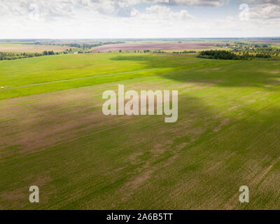 Vista panoramica di campi nella corsia centrale della Russia al giorno di estate Foto Stock